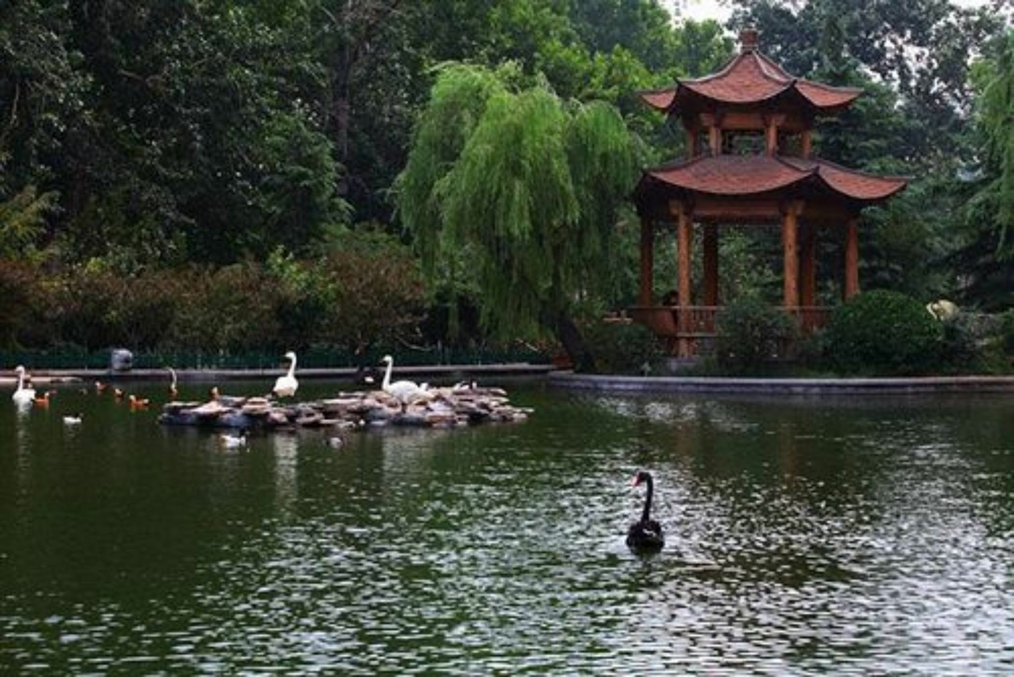Shan Dong Hotel Jinan Exteriör bild